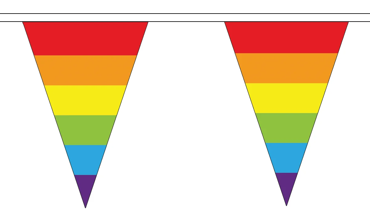 Rainbow Triangle Bunting 27 flags on this 10 metre Long Bunting LGBT 