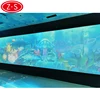 Beautiful wedding background 3D interactive wall/floor augmented reality projector for sale