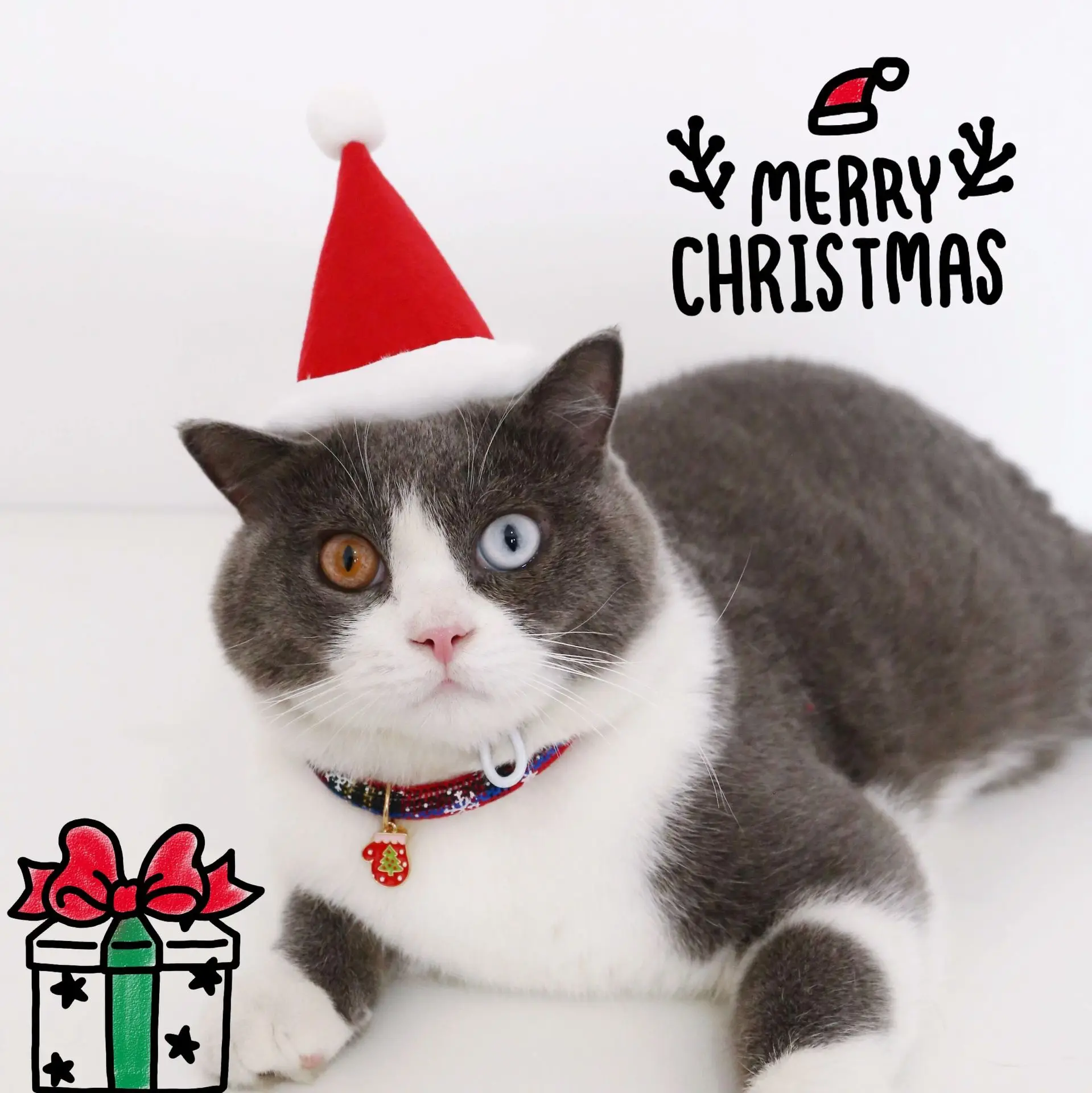 Interactive Eco-Friendly Cat Chew Toy Set Santa Claus Tree Hat Bow Tie Collar Teaser Wand Plush Christmas Pet Toy