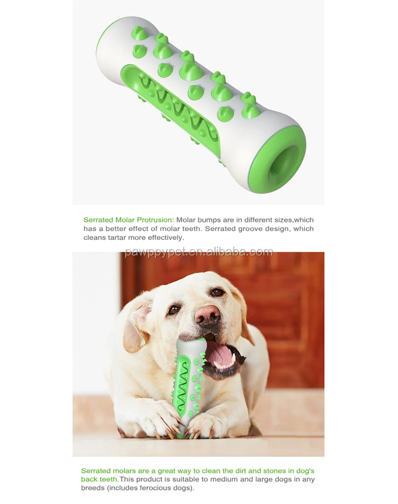 Dog Toothbrush Pet Dog Bone Shape Toothbrush Brushing Chew Toy Stick