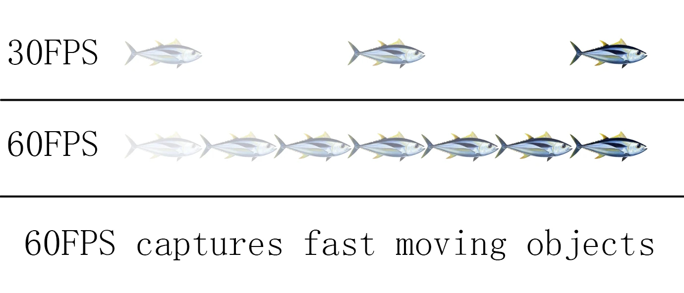 60FPS