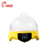 School education chicken egg incubator automatic hatching eggs