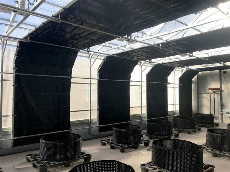 greenhouse for mushroom