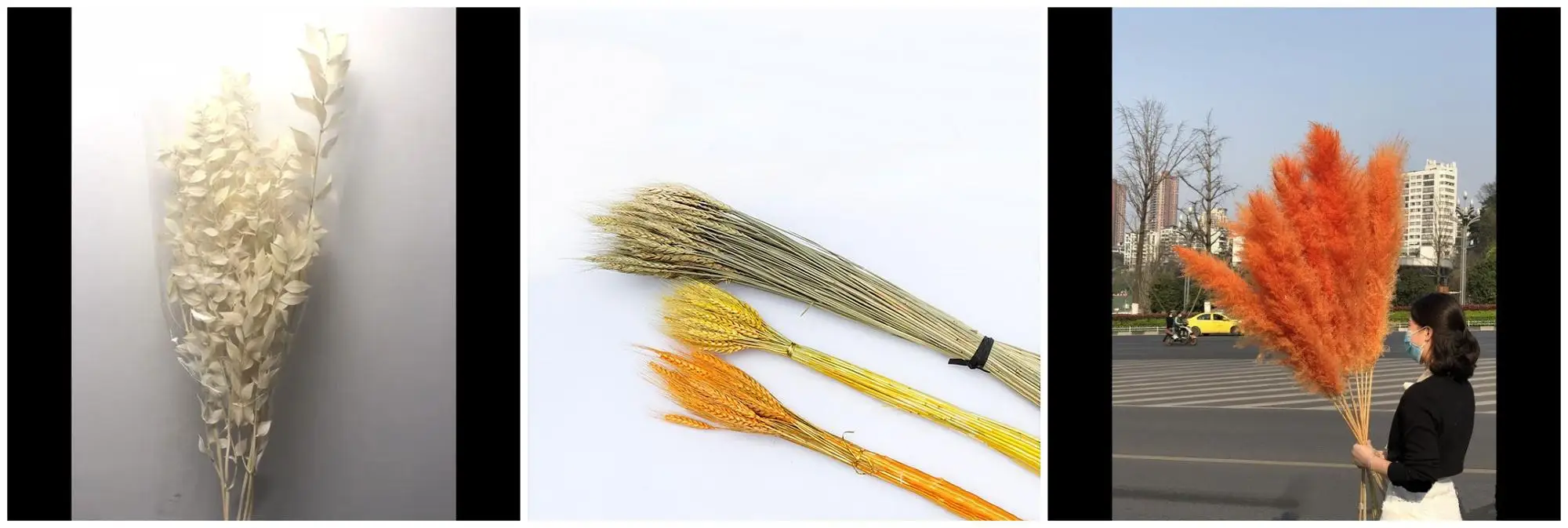 Dried Flower supplies (2).jpg