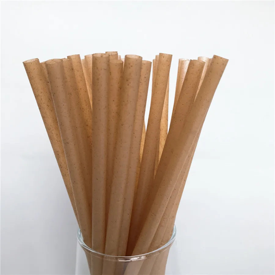 8mm Biodegradable Natural Bagsasse Sugar Cane Drinking