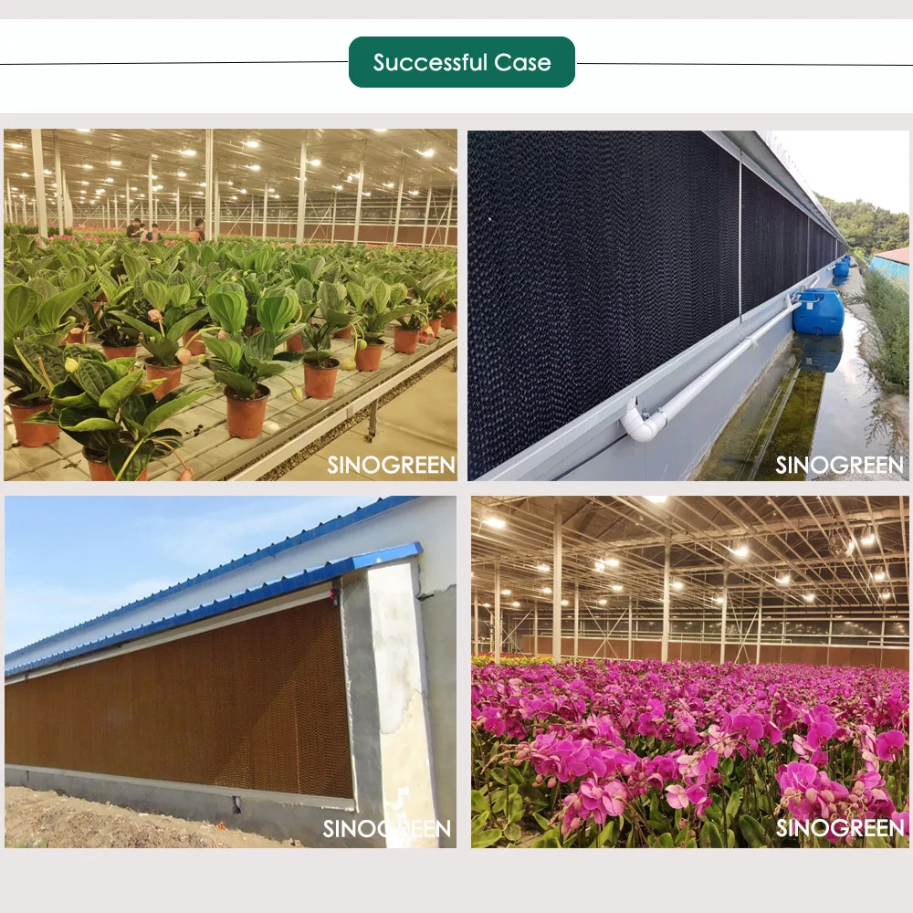 successful case 1.jpg