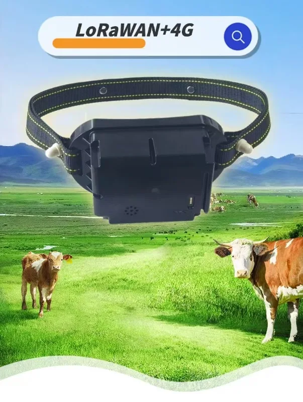 WE-GT085 Smart Animal Tracker Hero View