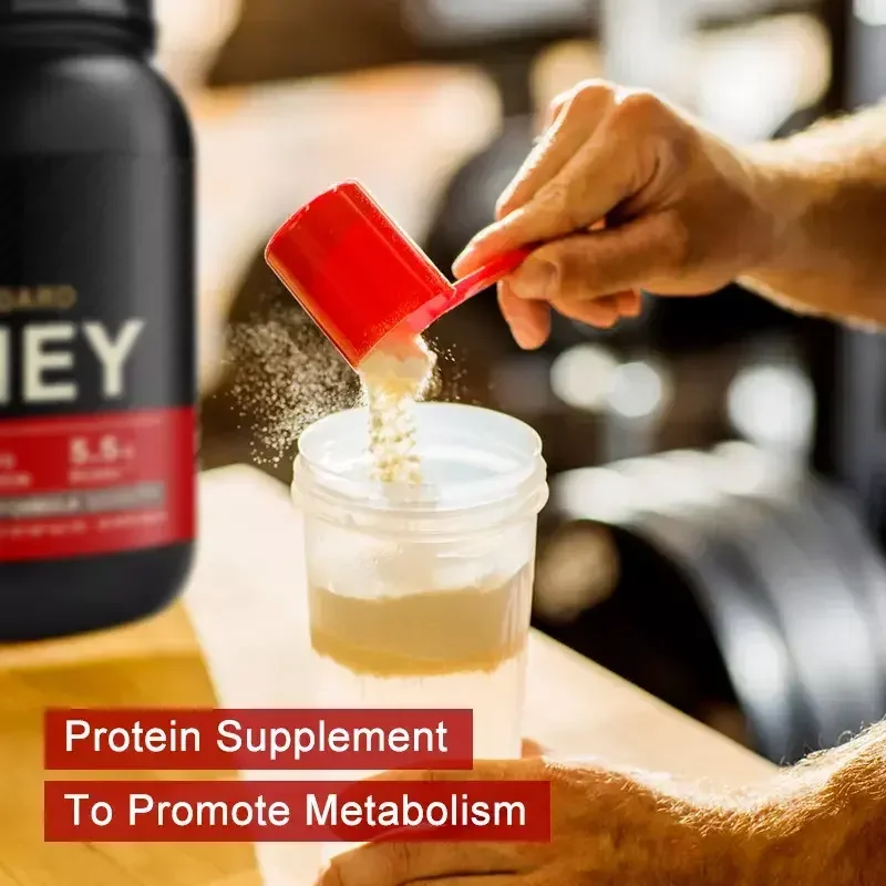 OEM Hot sale High Weight Gain Vegan Protein Powder Quality Organic Protein Powder Supplement  whey protein manufacture