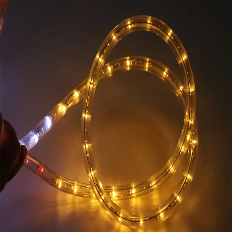 Color Changing Christmas Led Rope Light 100 Meteros Led Outdoor Waterproof Theme Park decoration 13mm