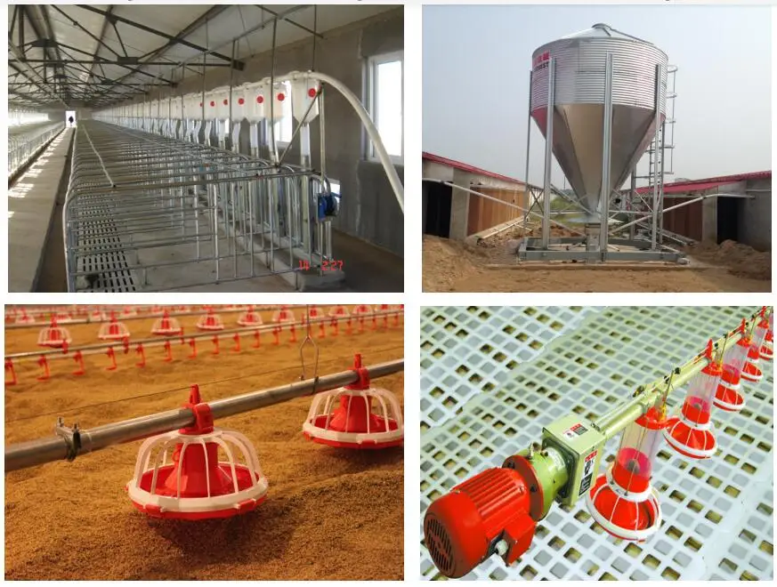 Complete Feeding Delivery System Sprial Feed Auger For Pig Farm Buy