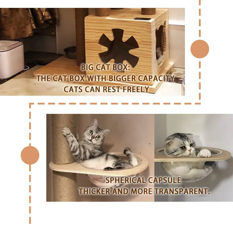 Modern Floor To Ceiling Cat Tree Cat Tree With Platform Scractching