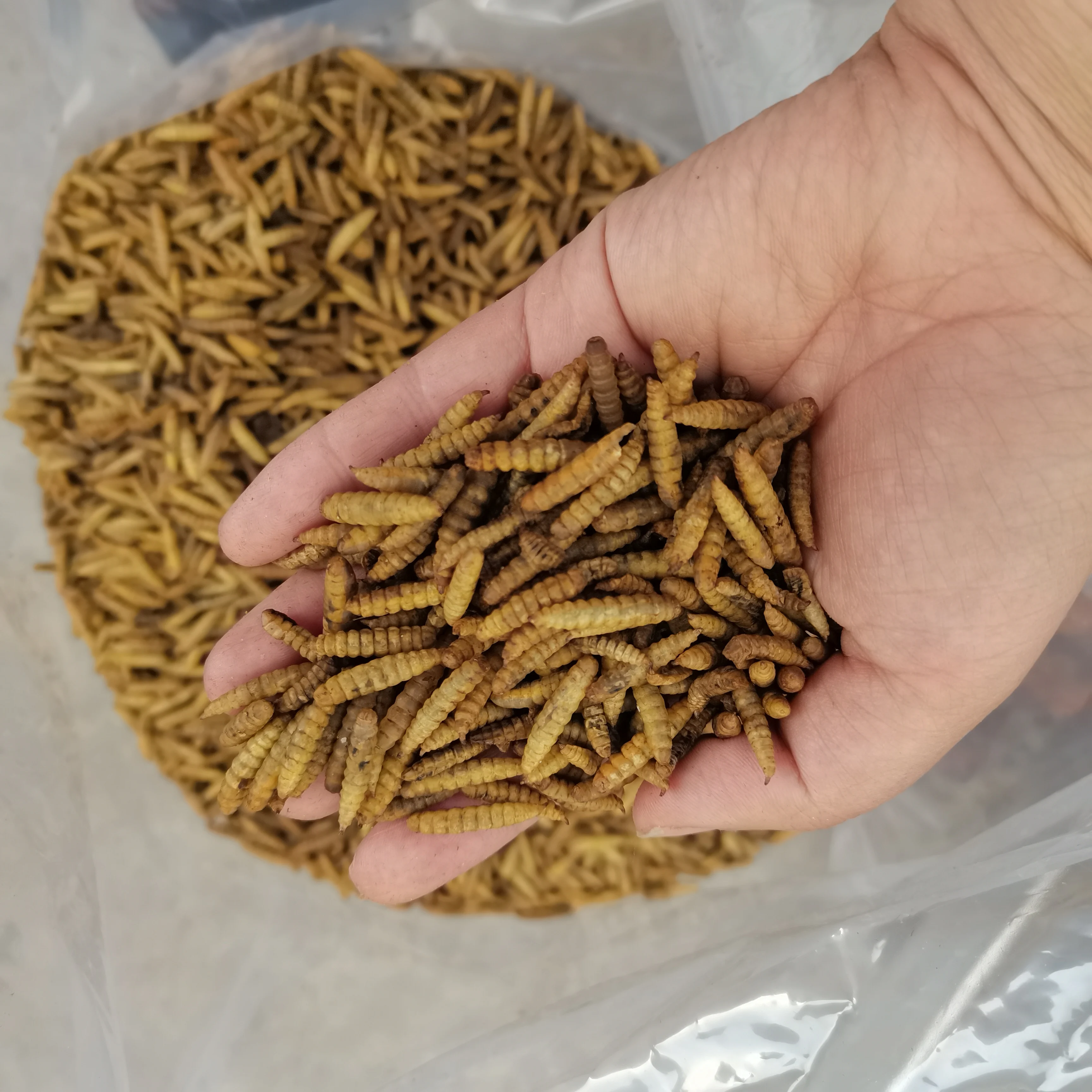 Freeze Dried Mealworm Black Soldier Fly Larvae For Small Pet Food For Chicken Buy Buy Dried