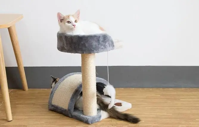 Cat Play Furniture House Indoor Scratching Post Cat Activity Tree - Buy ...