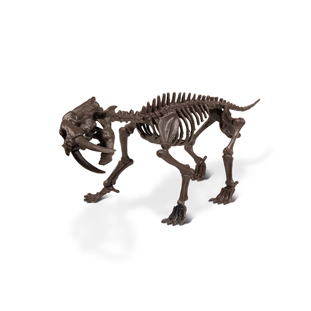 Tiger Bone Dig Kit Dinosaur Series Details about   Saber Toothed Tiger Skeleton Excavation Kit 
