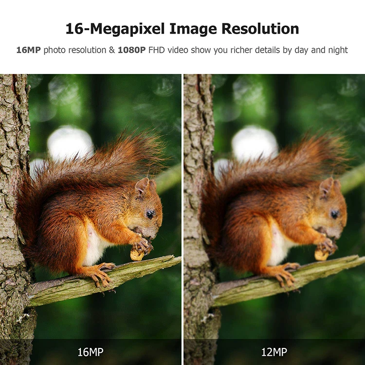 trail camera mini (17)