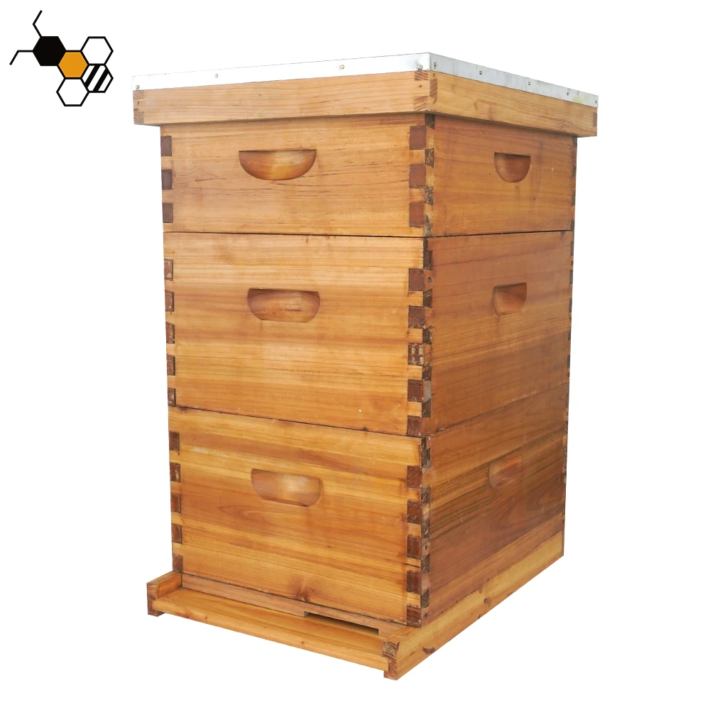 Hot Sale Wax Coated Wooden Bee Hive Complete Langstroth Beehive 10 ...