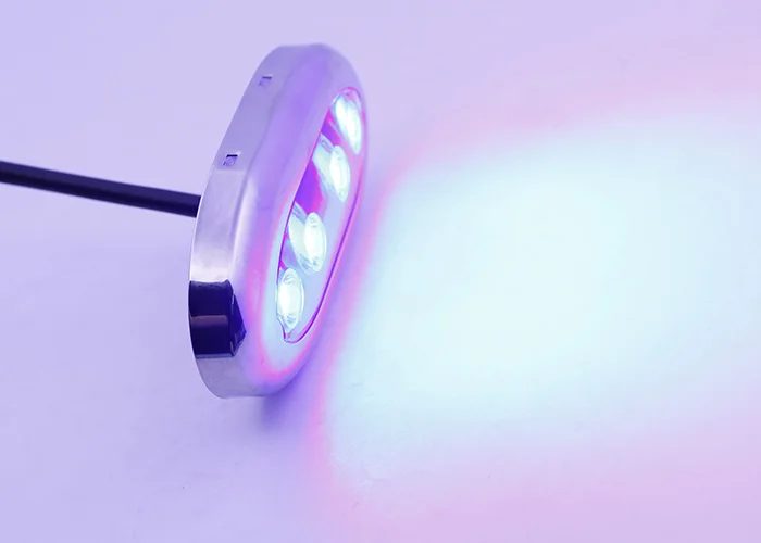 316 Stainless Steel Oval Marine Underwater Led Accent Courtesy Light