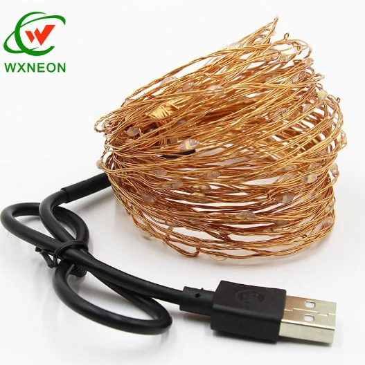 4'' 10cm spacing 1m 2m 3m 4m 5m 8m 10m 20m 30m USB Copper or Silvery Wire Outdoor Fairy Led String Light