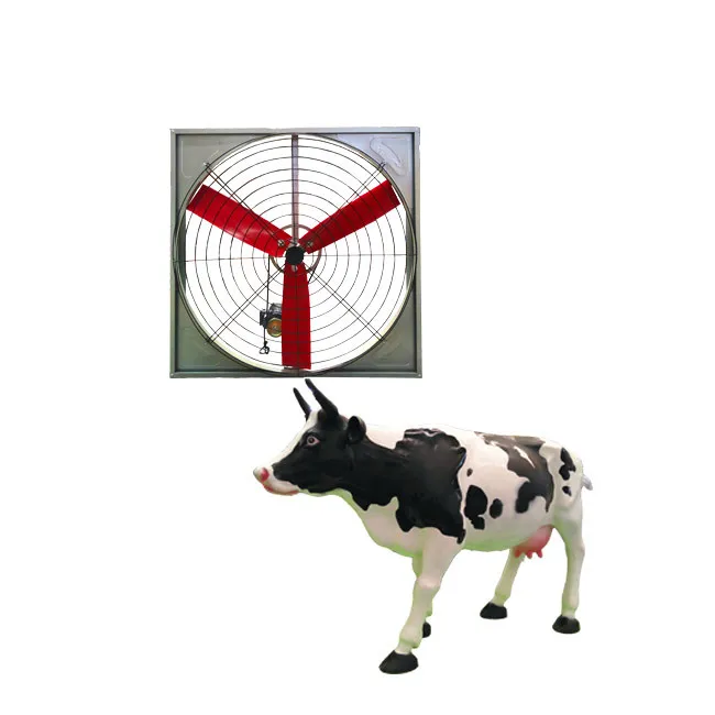 
Agrifan brand poultry farming large dairy fan/ cowshed fan 