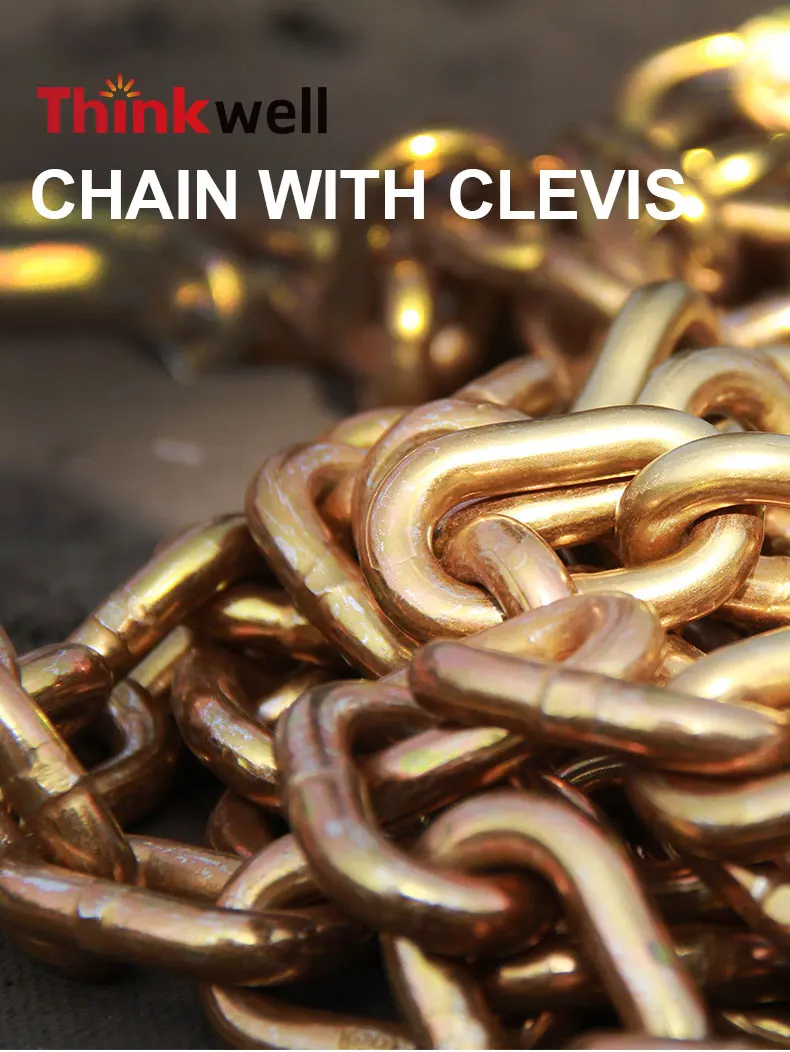 transport chain (1).jpg