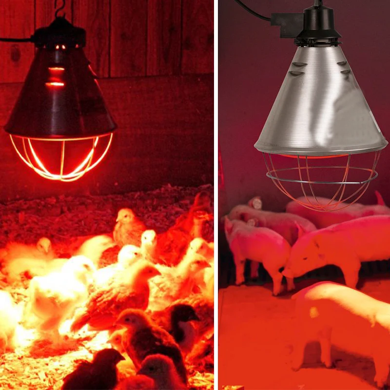High Quality 50w 75w 100w 150w E27 Nocturnal Infrared Heat Lamp For Pig
