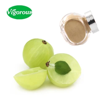 10 1 Phyllanthus Emblica Amla Fruit Extract Buy Amla Extract