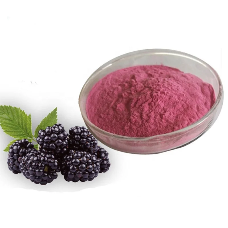 spray drying mulberry fruit powder / instant mulberry juice