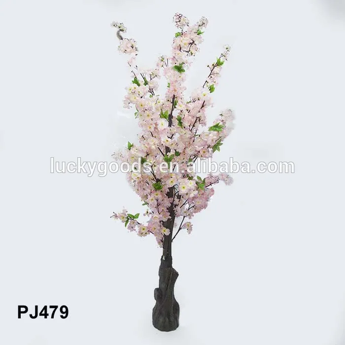 PJ479.jpg