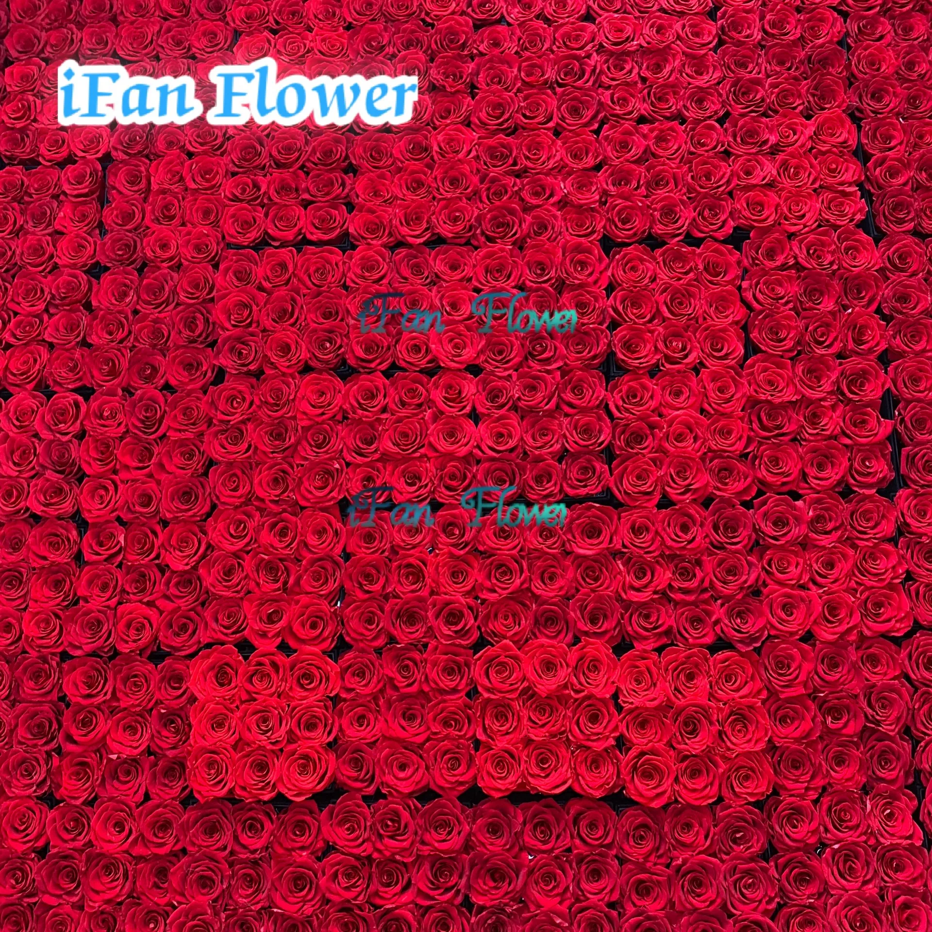 Wedding Flower Natural Roses Flower Box Bright Blue Preseverd Rose