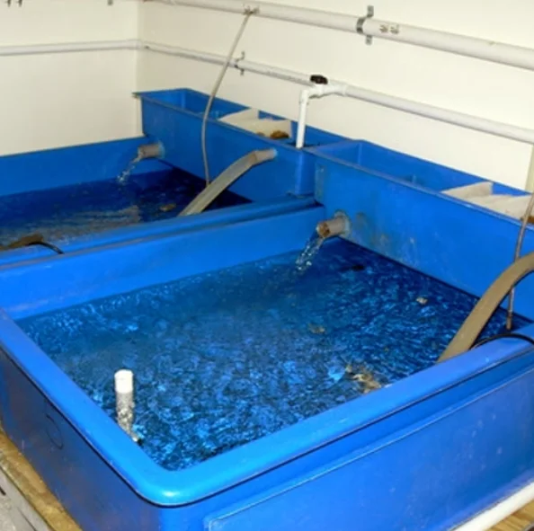 Fiberglass Fish Tank,Aquarium Tank Fish,Fish Farming Tank Buy Frp