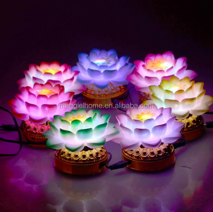 7PCS LOTUS.png