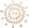 Wholesales Factory Price for Organic Material Material and Art & Collectible Use Golden Cowrie Shell !!