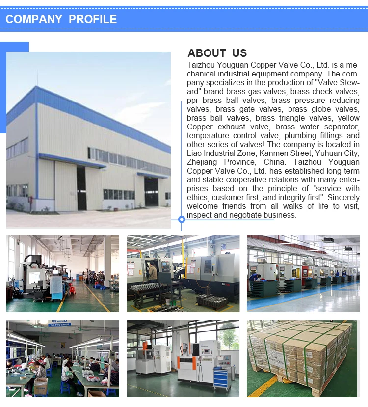 Q11F16T China best price quality assurance custom garden brass ball valves