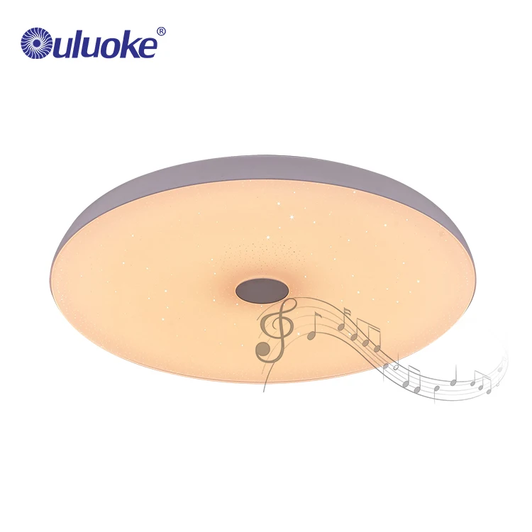 2020 New Designer home round APP remote control smart ceiling light fixture