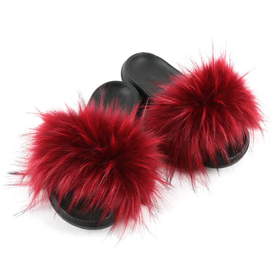 racoon slides