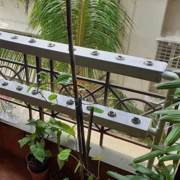 hydroponics growing system