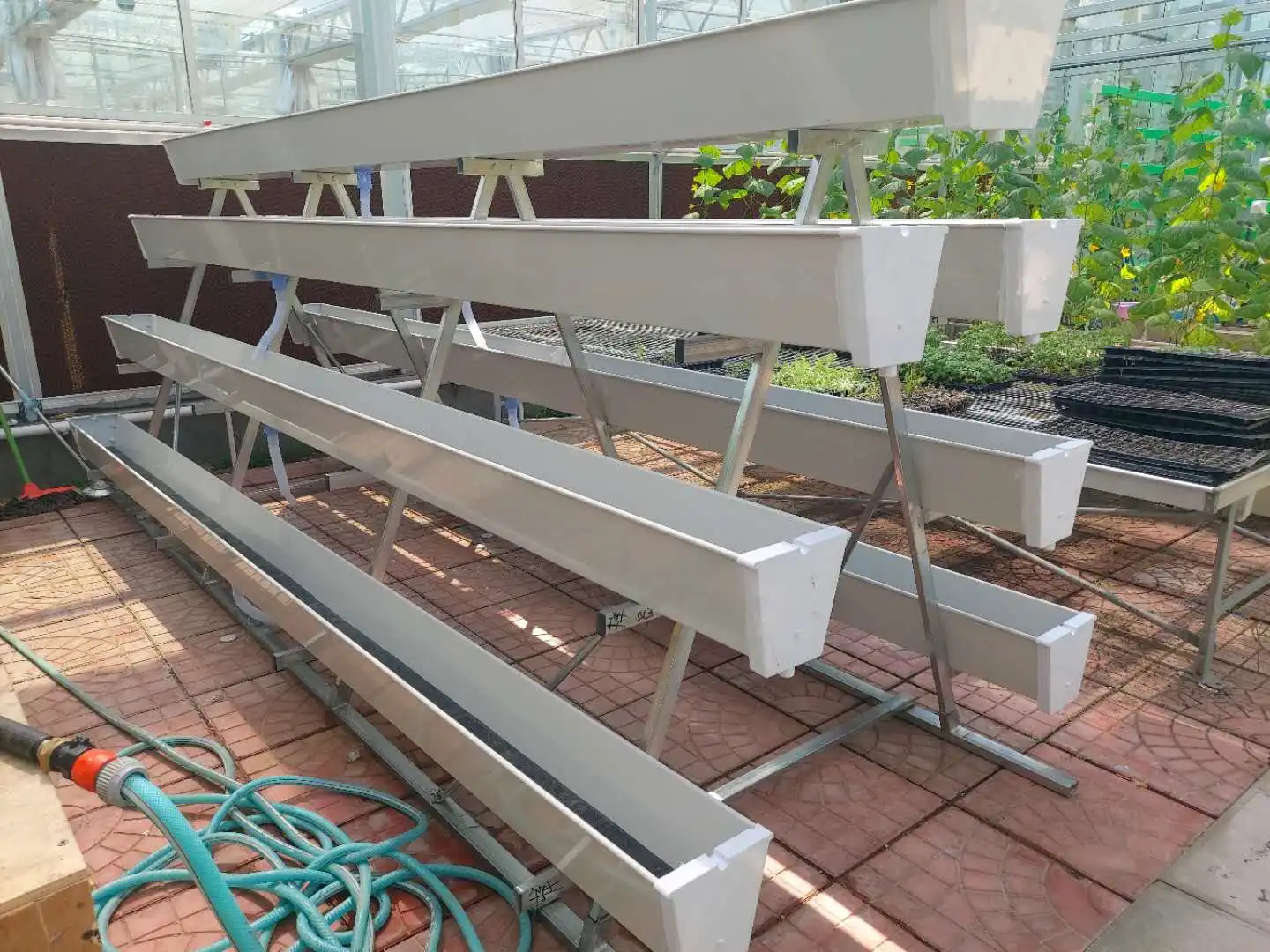 Hydroponic Strawberry Pvc Growing Gutter Buy Strawberry Planting