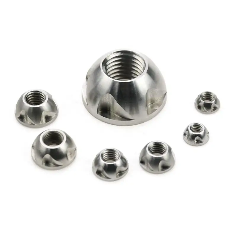 M6 M8 M10 M12 Tamper Poof Tamperproof Nuts Ss304 Anti Theft Lock
