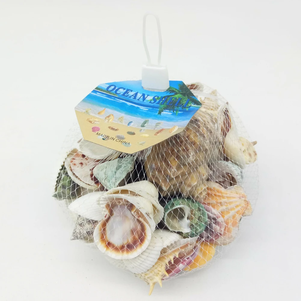 wholesale seashell craft for event and party supplies