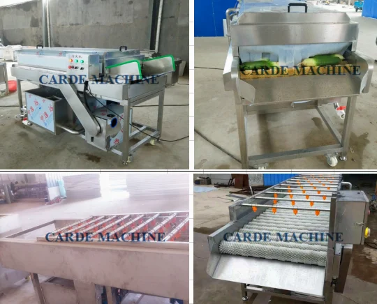 Continuous brush washer 1.png