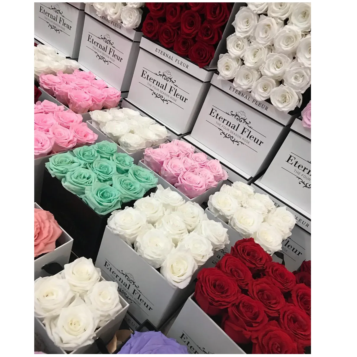 Eternal Roses Preserved Flowers Rosas Eternas Preservadas 2020 Decorative Rose Forever Box Gift