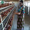 /product-detail/hot-sale-poultry-farm-laying-hens-used-layer-battery-chicken-cage-60810417392.html
