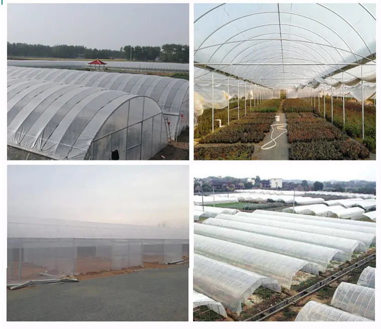 agriculture greenhouse film.jpg