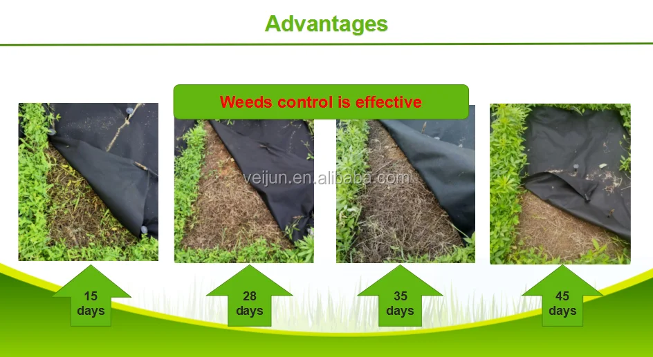 Super Tough Weed Barrier Mulch Weed Mat Weed Control Sheet Buy Mulch