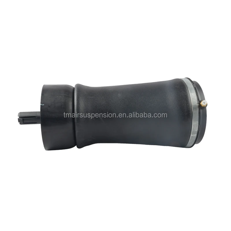 air suspension spring.jpg