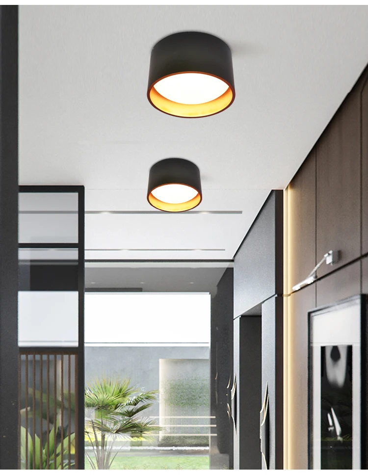 Metal living room indoor 120V Nordic LED downlight surface mounted/concealed ceiling light