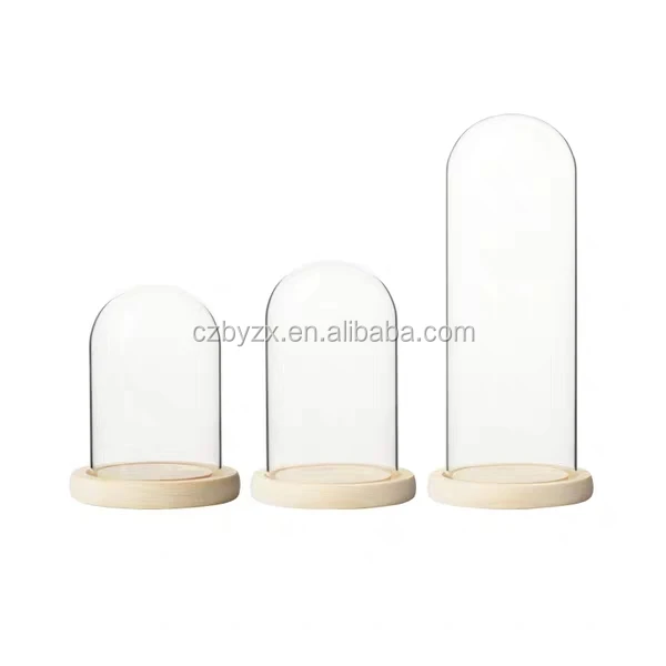 glass dome (26).jpg