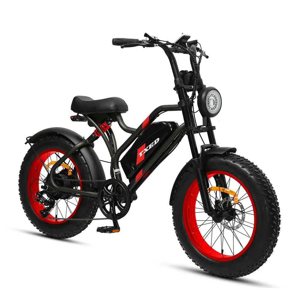 China factory TXED steel frame bike electric chopper bicycle fat bike 250w  fat tire electric trike