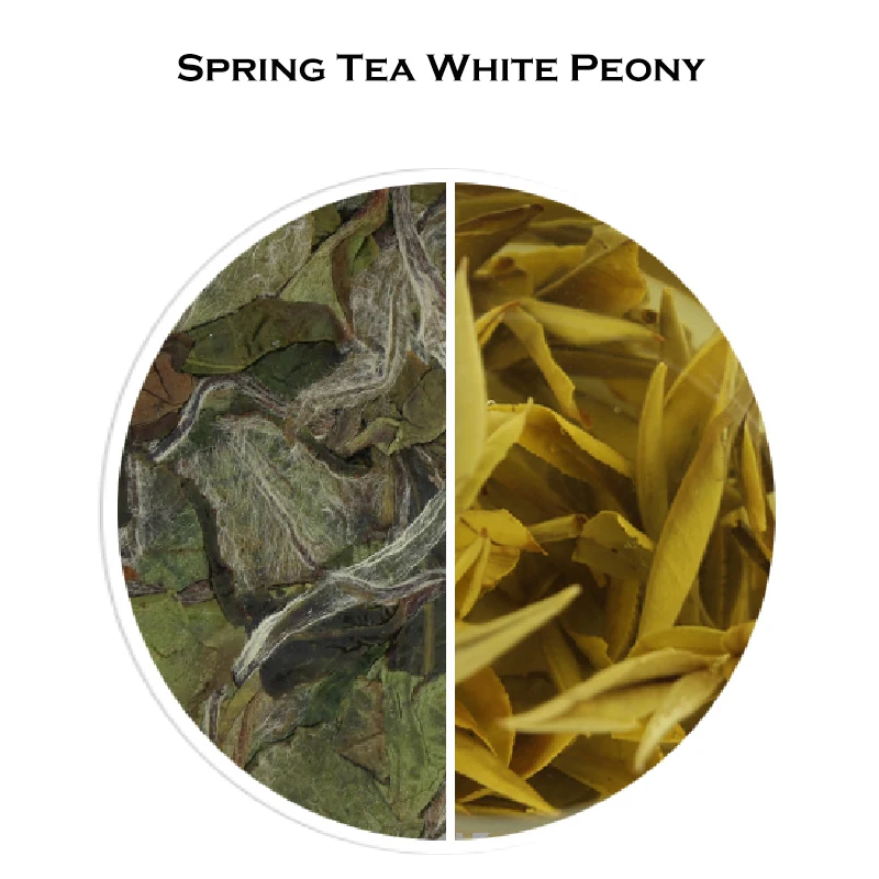 White Peony /Pai Mu Dan White Tea-