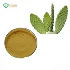 100% 有機 NaturalSan ペドロサボテンエキス、 opuntia ピュアネイチャーサボテンエキス末 10:1 最高価格。